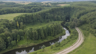 Jak Opanować Wymowę Lierde: Twój Kompletny Przewodnik