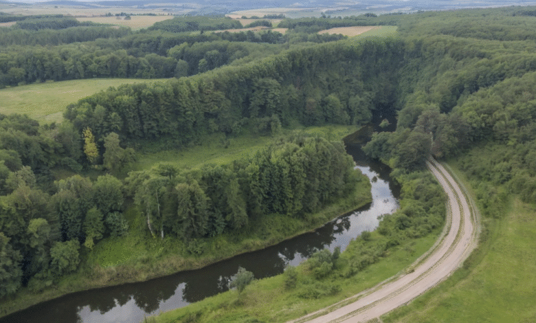 Jak Opanować Wymowę Lierde: Twój Kompletny Przewodnik